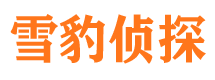 新建侦探